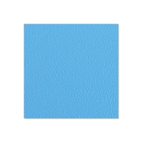 Medžio fanieros plokštė AH 04752 G Birch Plywood Plastic-Coated with Stabilising Foil sky blue 6.9 mm