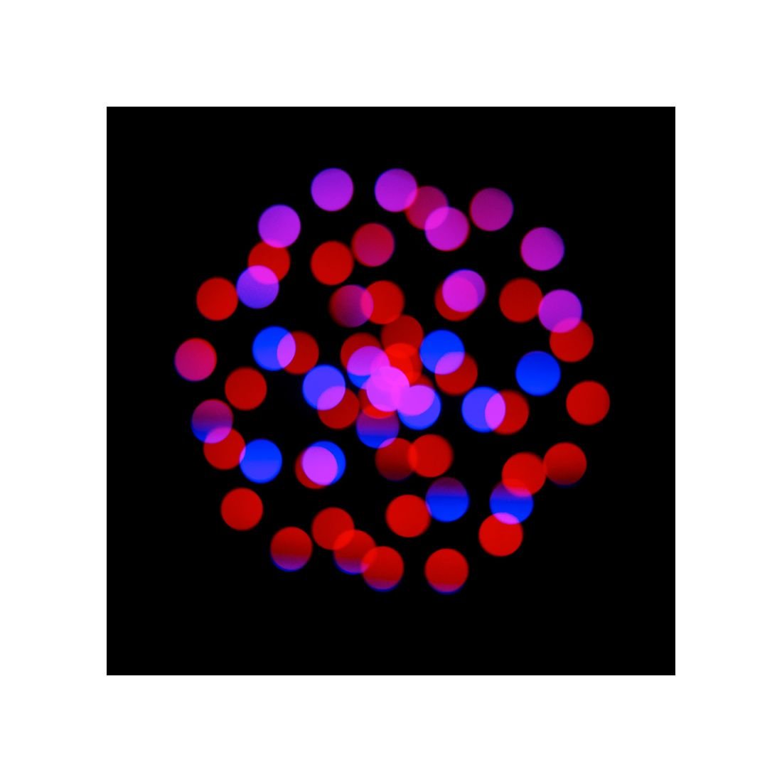 ADJ Focus CMY Compact - Image 6