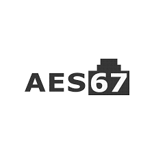 AES67 modulis MDi serijos 2/4 kanalų stiprintuvams